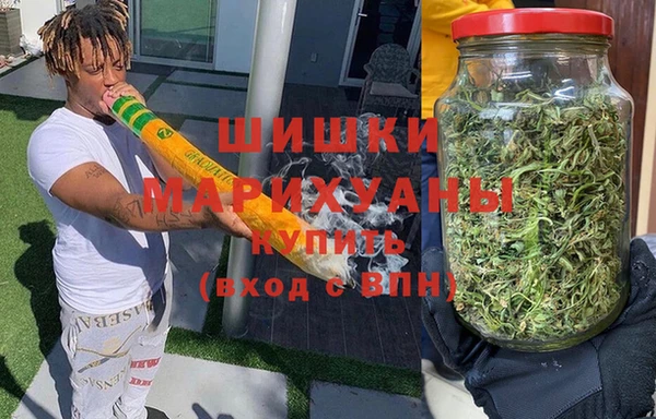 гидра Алексин