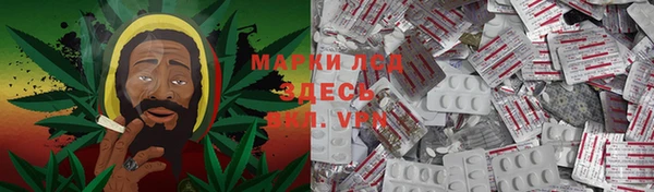 ГАЛЛЮЦИНОГЕННЫЕ ГРИБЫ Алзамай